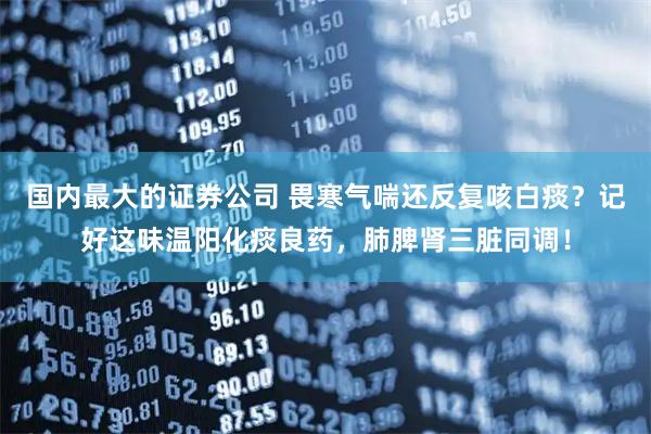 国内最大的证券公司 畏寒气喘还反复咳白痰？记好这味温阳化痰良药，肺脾肾三脏同调！