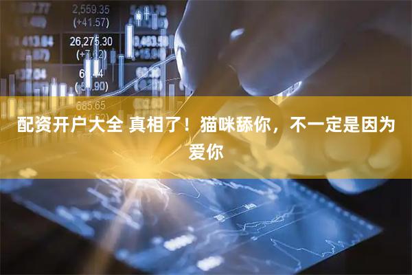 配资开户大全 真相了！猫咪舔你，不一定是因为爱你